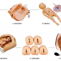 高級腹部觸診、分娩機(jī)轉(zhuǎn)綜合模型